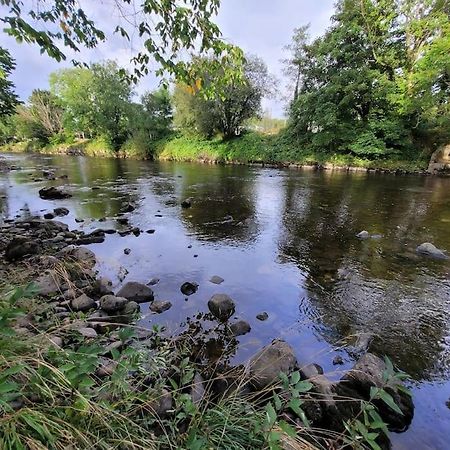 Riverside Bungalow - Direct River Access! Ystradgynlais Eksteriør bilde